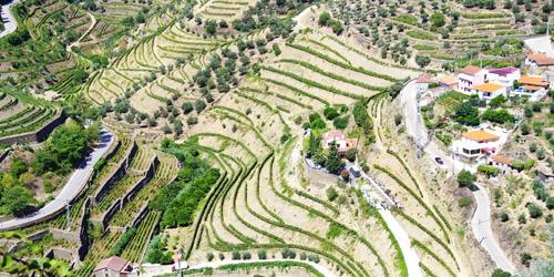 Douro-dalen